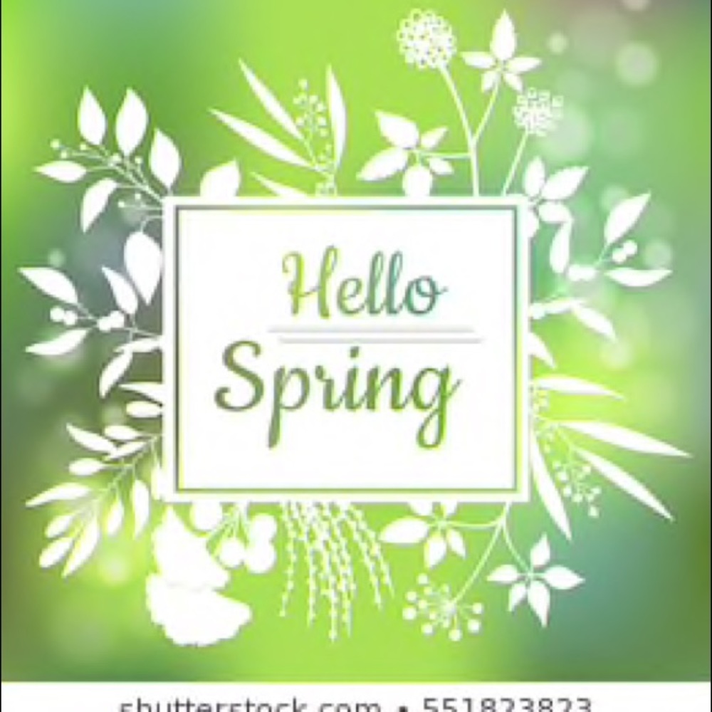 Spring Is Here! - image 1